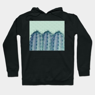 Watercolor Cactus Trio Hoodie